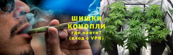 ПСИЛОЦИБИНОВЫЕ ГРИБЫ Балахна